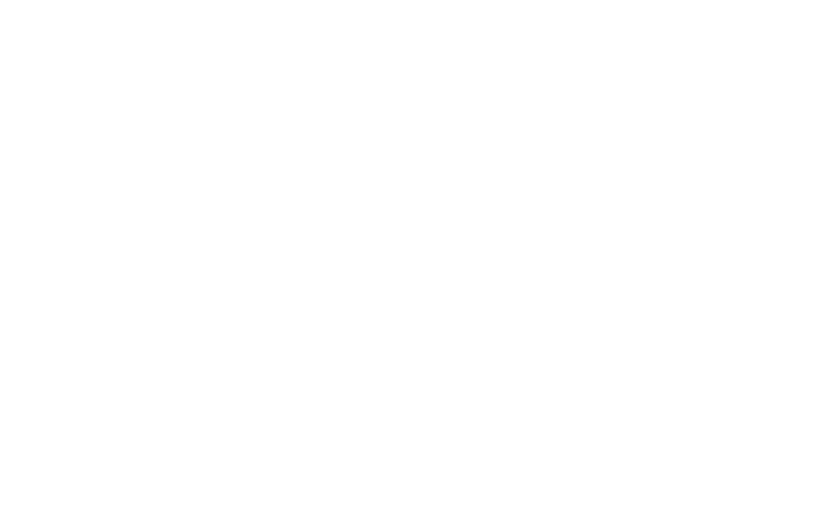 /Salli-Brasil.png