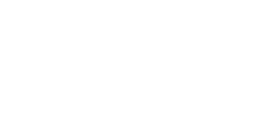 /baumer.png