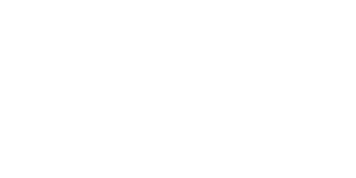 /osstem.png